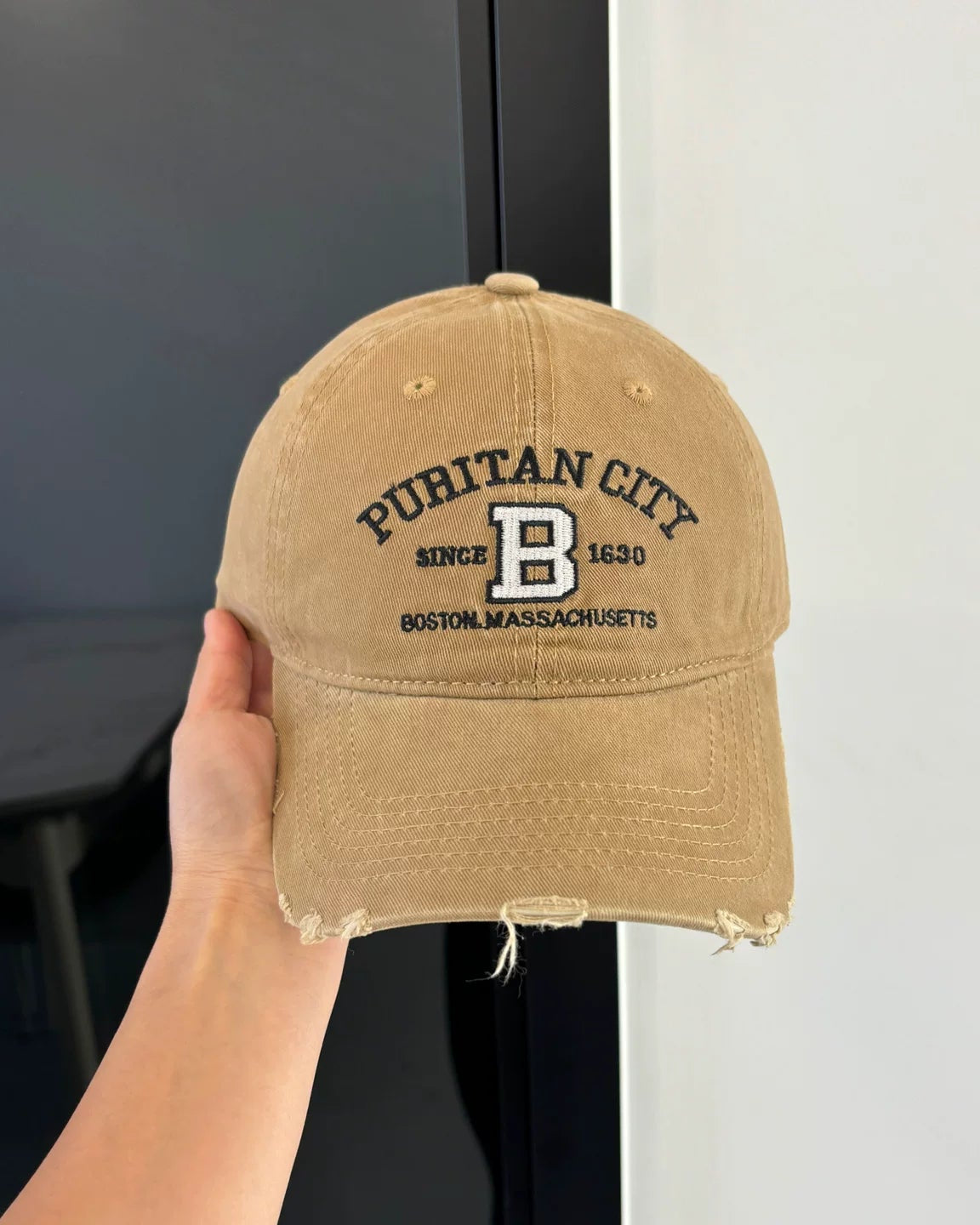Boston Vintage Cap