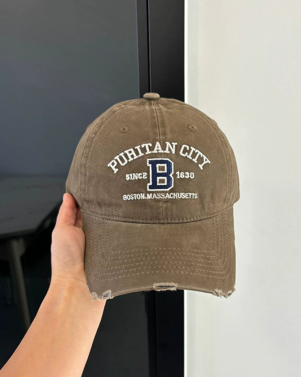 Boston Vintage Cap